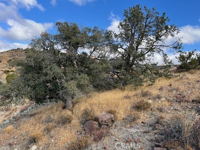25505 Sun View Dr, Tehachapi, CA 93561 - photo 15