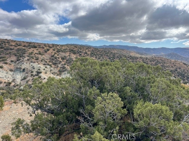 25505 Sun View Dr, Tehachapi, CA 93561 - photo 4