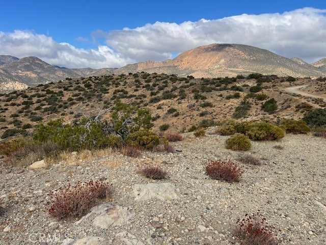 25505 Sun View Dr, Tehachapi, CA 93561 - photo 8