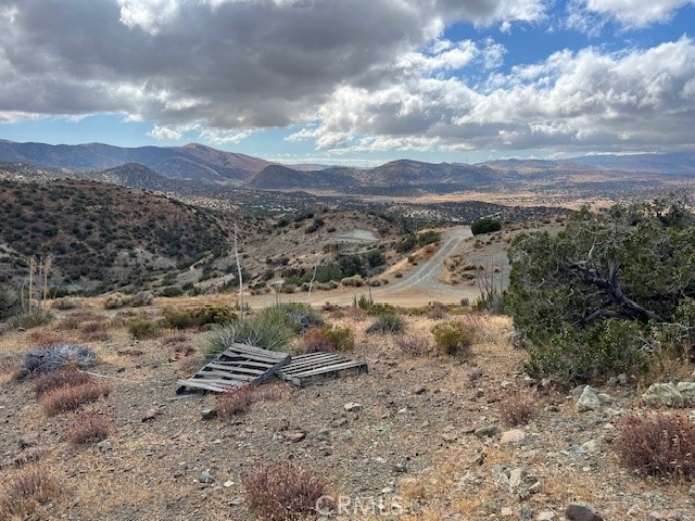 25505 Sun View Dr, Tehachapi, CA 93561 - photo 9