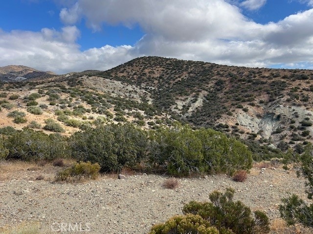 25505 Sun View Dr, Tehachapi, CA 93561 - photo 3