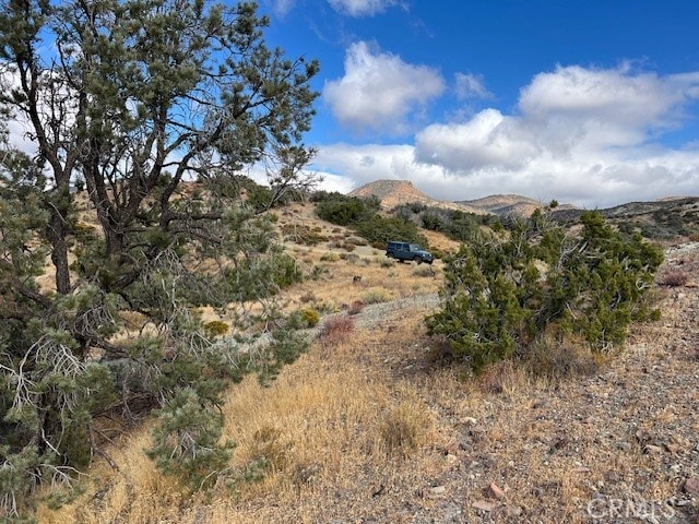 25505 Sun View Dr, Tehachapi, CA 93561 - photo 14