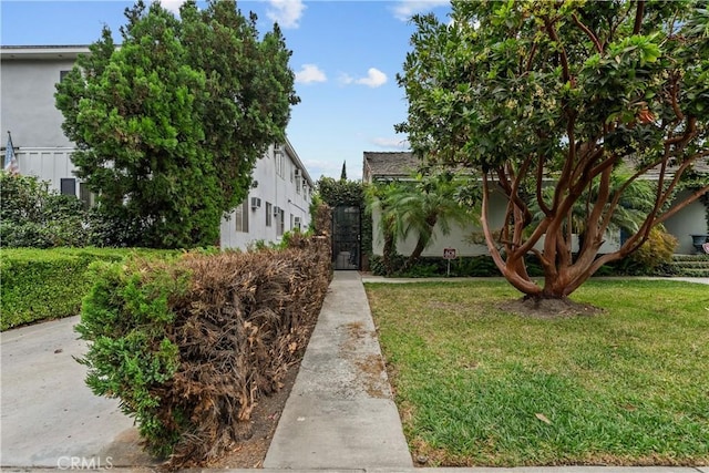 view of property hidden behind natural elements featuring a front yard