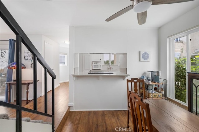 interior space with ceiling fan and dark hardwood / wood-style flooring