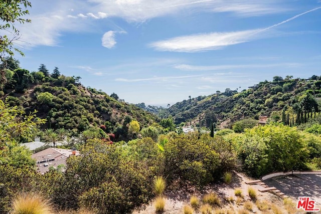 view of mountain feature