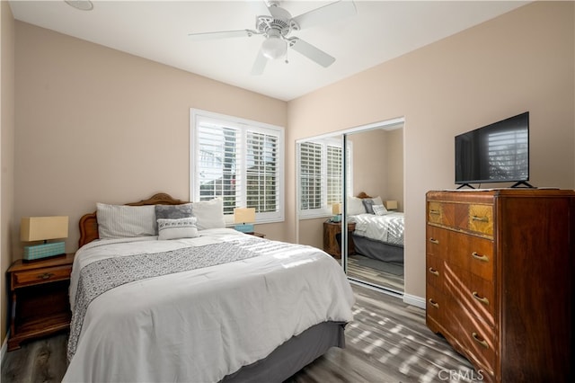 bedroom with a closet, dark hardwood / wood-style floors, and ceiling fan