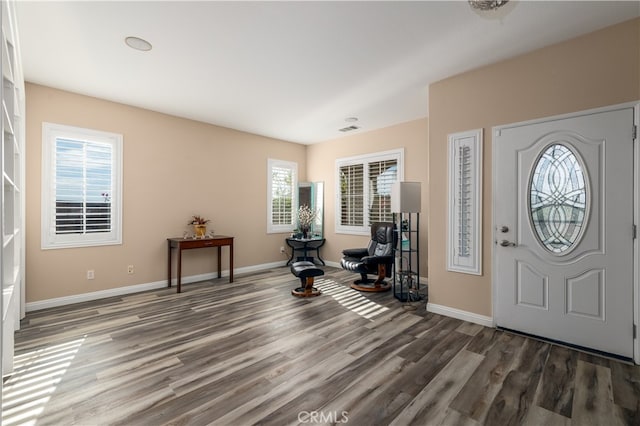 entryway with dark hardwood / wood-style flooring and plenty of natural light