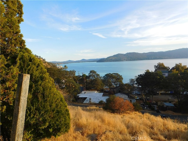 Listing photo 3 for 12971 San Joaquin Ave, Clearlake CA 95422