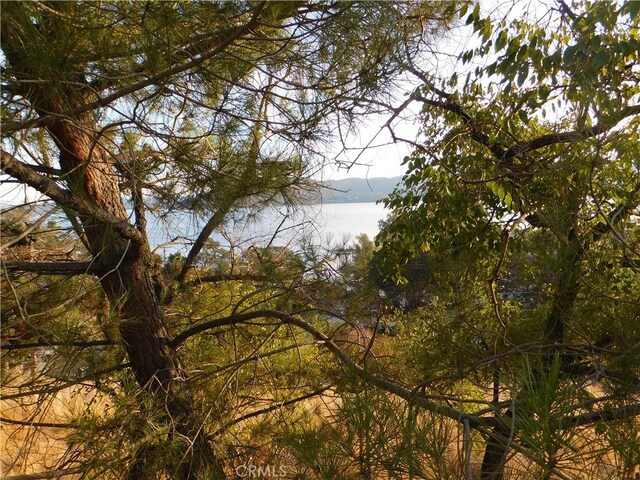 12971 San Joaquin Ave, Clearlake, CA 95422 - photo 6