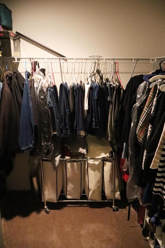 spacious closet featuring carpet floors