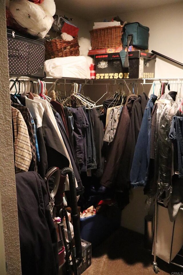 spacious closet with carpet floors