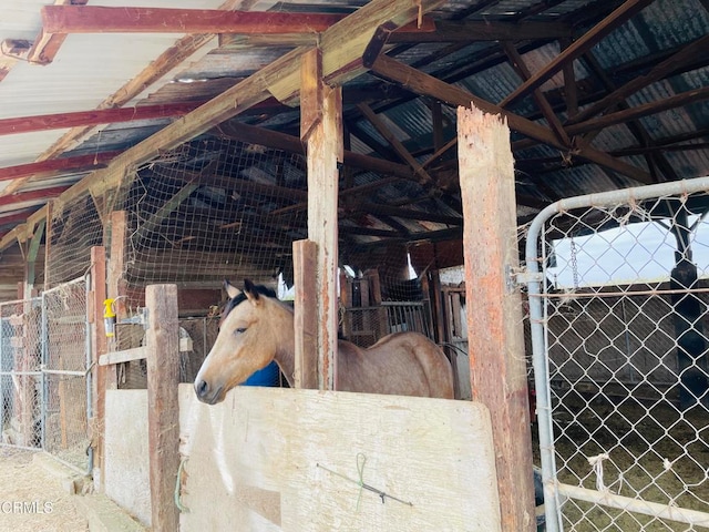 view of horse barn