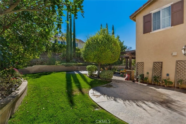 view of yard featuring a patio