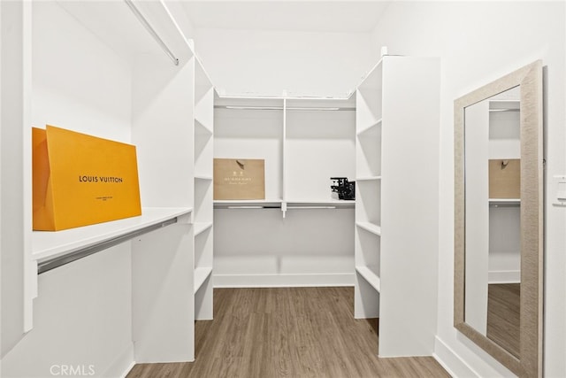 walk in closet featuring hardwood / wood-style flooring