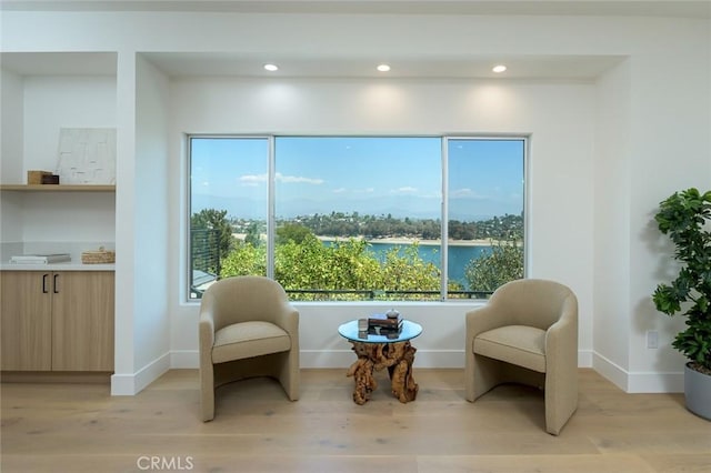 living area featuring light hardwood / wood-style floors