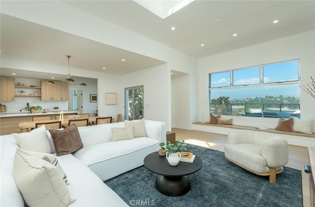 living room featuring hardwood / wood-style floors