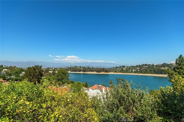 water view featuring a mountain view