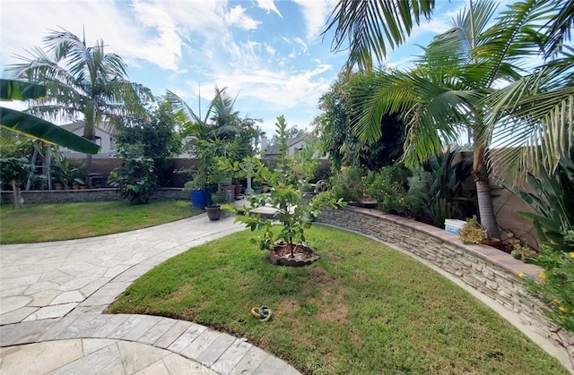 505 Lowe Dr, Placentia, CA 92870 - view of yard