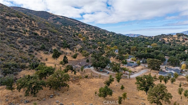 17701 Alps Dr, Tehachapi CA, 93561 land for sale