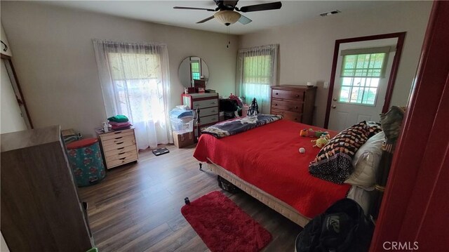 bedroom with multiple windows, hardwood / wood-style flooring, and ceiling fan