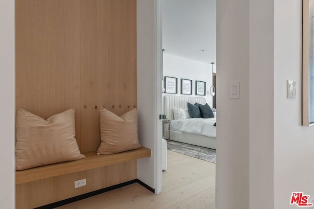 mudroom featuring light hardwood / wood-style flooring