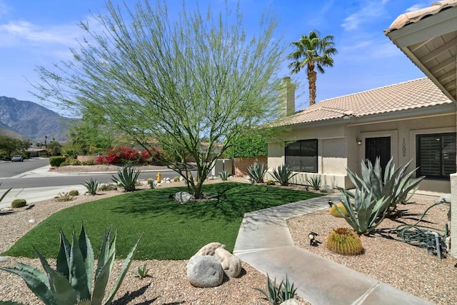 view of yard featuring a mountain view