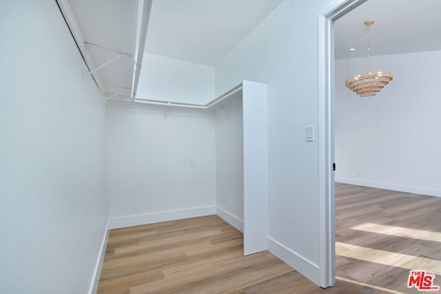 walk in closet with light wood-type flooring