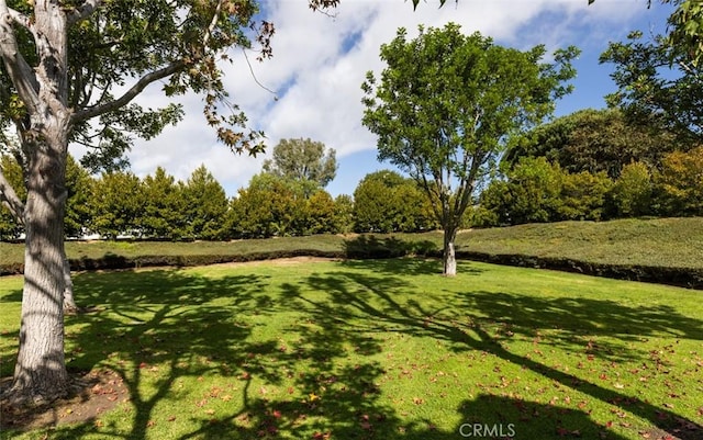 view of community featuring a lawn