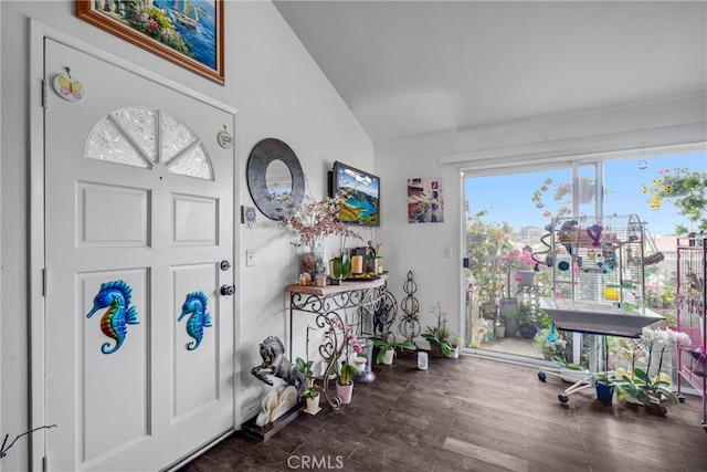 foyer entrance featuring vaulted ceiling, a wealth of natural light, and dark hardwood / wood-style floors