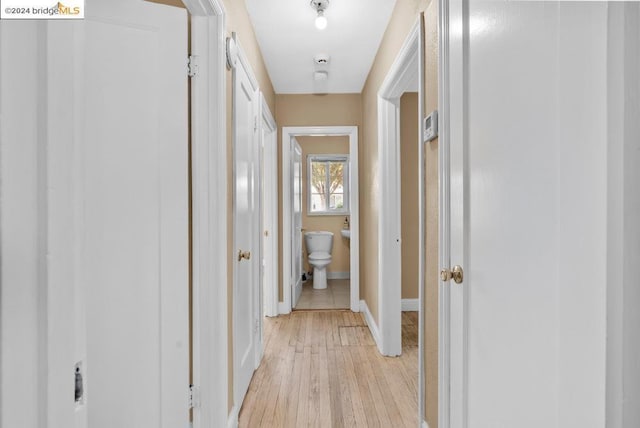 hall featuring light hardwood / wood-style flooring