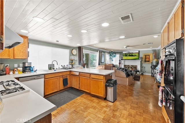 kitchen with kitchen peninsula, ventilation hood, sink, appliances with stainless steel finishes, and light parquet flooring