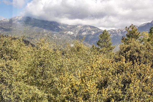 view of mountain feature