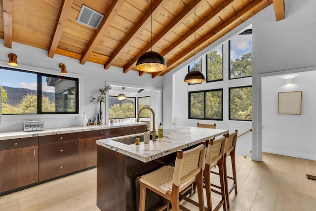 kitchen featuring sink, light hardwood / wood-style flooring, dark brown cabinets, and decorative light fixtures