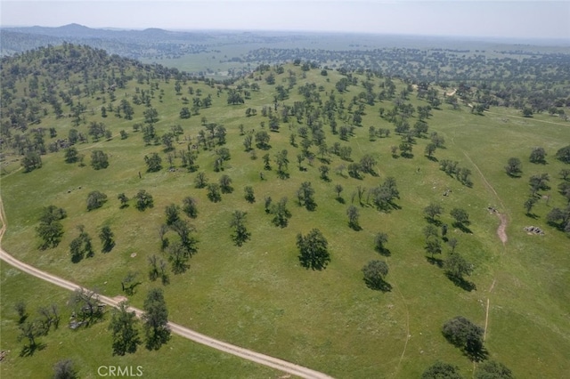 bird's eye view with a rural view