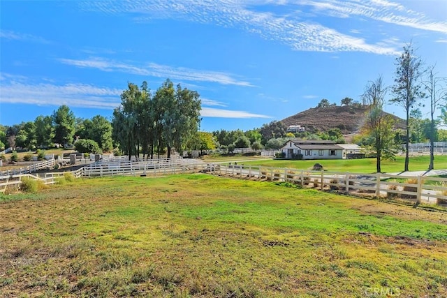 view of yard with a mountain view and a rural view