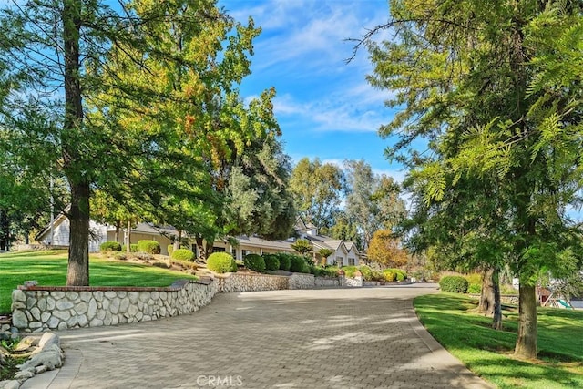 view of property's community with a lawn