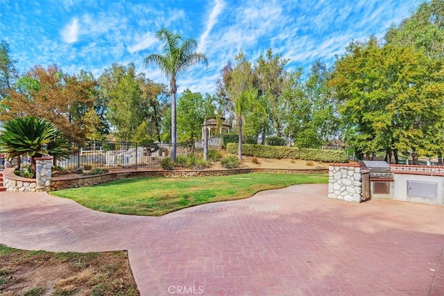 view of home's community featuring a patio area and an outdoor kitchen