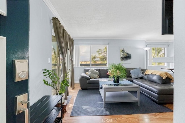 living room with hardwood / wood-style floors and ornamental molding