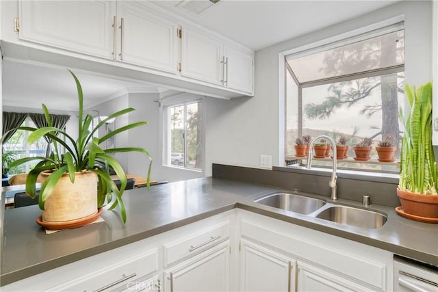 kitchen featuring dishwashing machine, white cabinetry, and sink