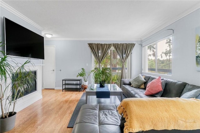 living room with light wood-type flooring and ornamental molding