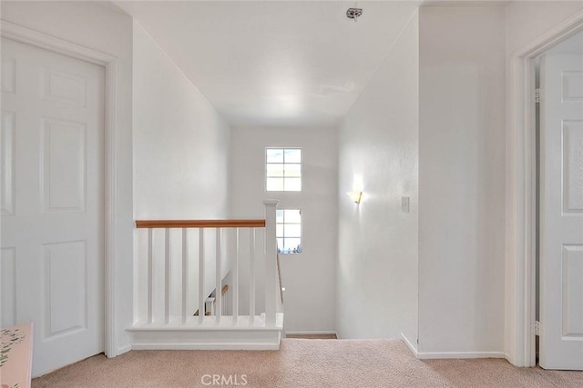 interior space featuring carpet flooring