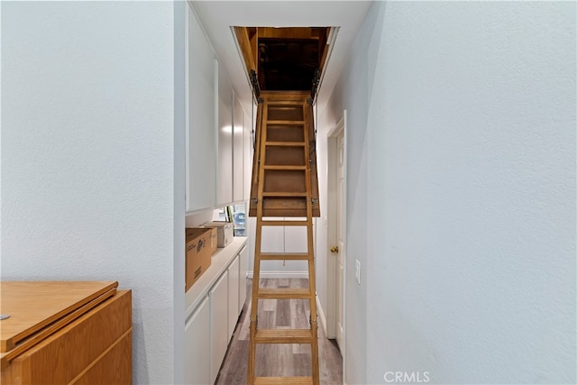 stairway with hardwood / wood-style floors