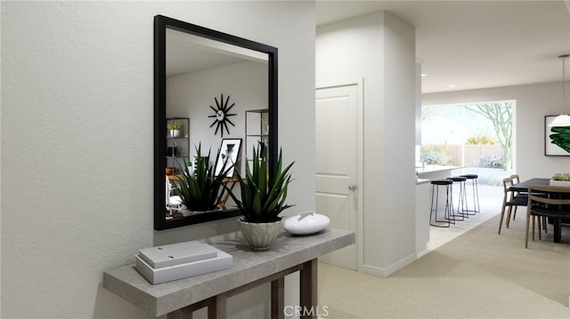 hallway featuring carpet flooring