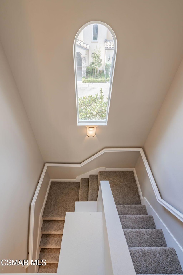 staircase featuring lofted ceiling and carpet