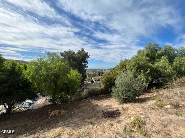 0 Dakota Dr, Ventura, CA 93001 - photo 6