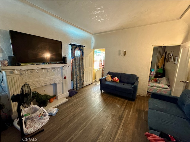 living room with wood-type flooring