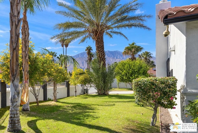 view of yard with a mountain view