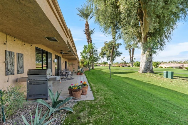 view of yard featuring a patio