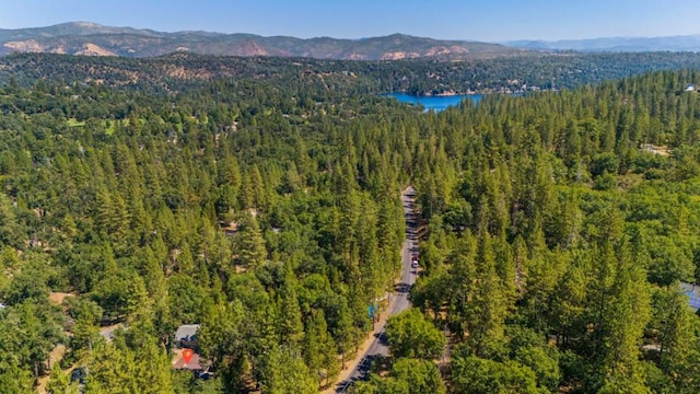 birds eye view of property featuring a water and mountain view