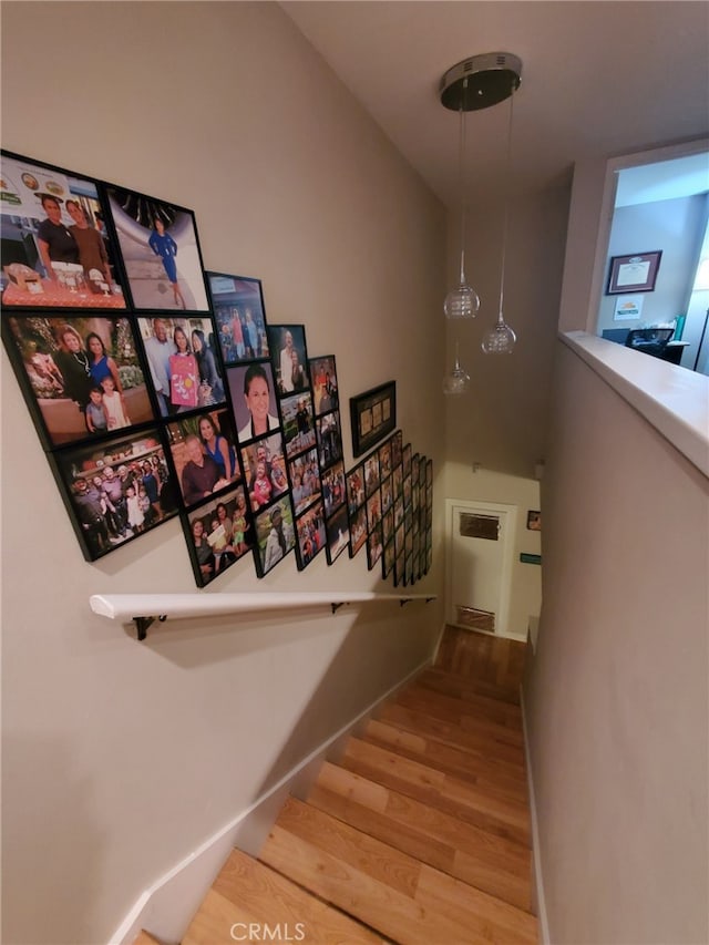 staircase with wood-type flooring